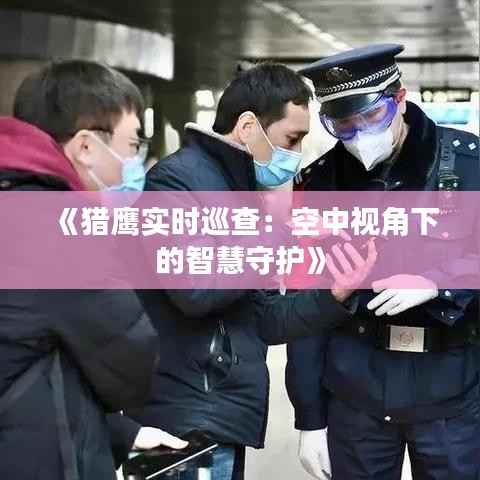 《猎鹰实时巡查:空中视角下的智慧守护》