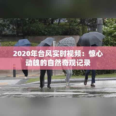 2020年台风实时视频：惊心动魄的自然奇观记录