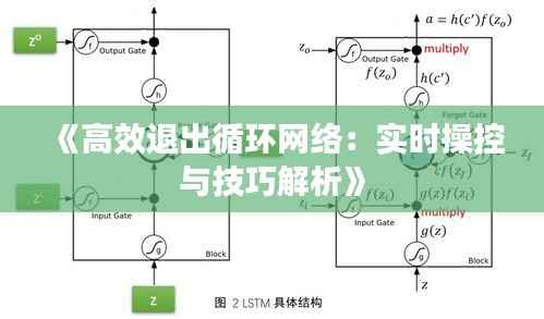 《高效退出循环网络：实时操控与技巧解析》
