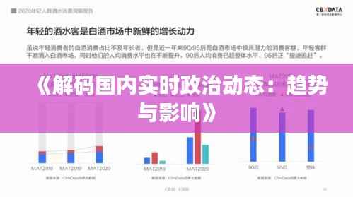 《解码国内实时政治动态:趋势与影响》