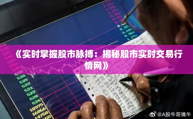《实时掌握股市脉搏：揭秘股市实时交易行情网》