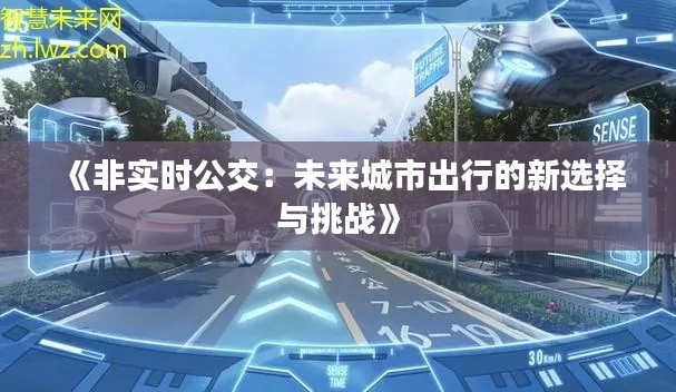 《非实时公交：未来城市出行的新选择与挑战》