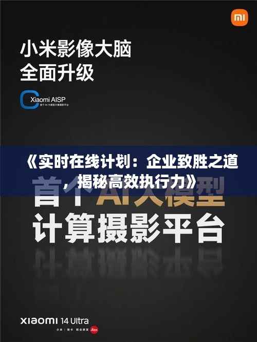 《实时在线计划:企业致胜之道,揭秘高效执行力》