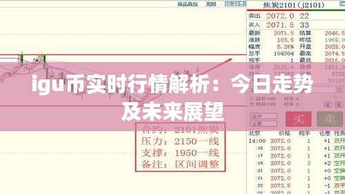 igu币实时行情解析：今日走势及未来展望