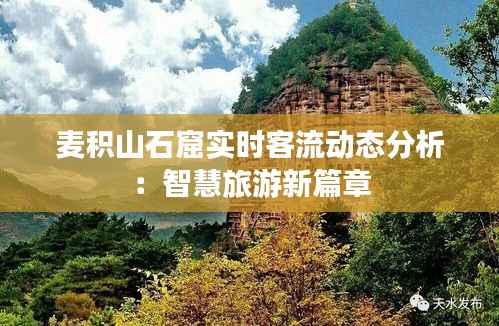 麦积山石窟实时客流动态分析：智慧旅游新篇章