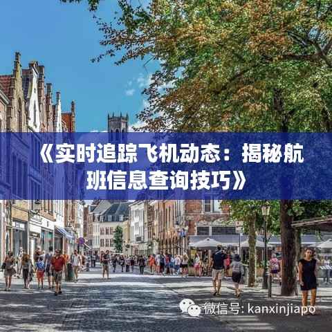 《实时追踪飞机动态:揭秘航班信息查询技巧》