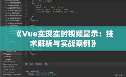 《Vue实现实时视频显示：技术解析与实战案例》