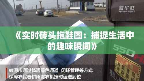 《实时砖头拖鞋图：捕捉生活中的趣味瞬间》