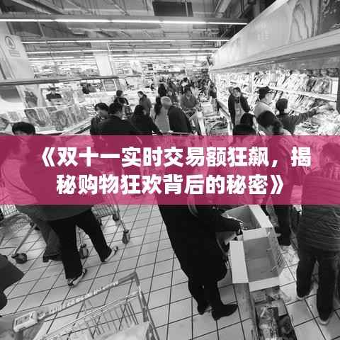《双十一实时交易额狂飙，揭秘购物狂欢背后的秘密》