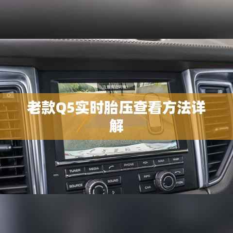 老款Q5实时胎压查看方法详解