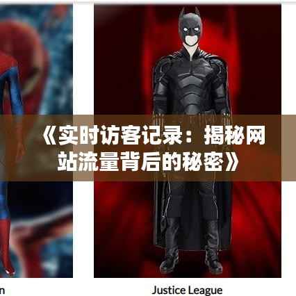 《实时访客记录:揭秘网站流量背后的秘密》