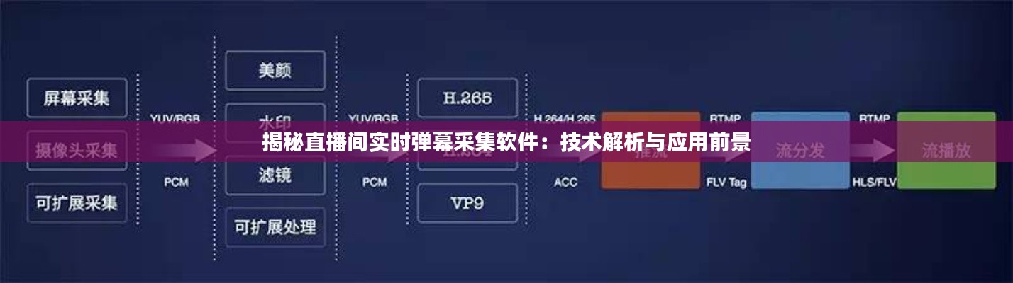 揭秘直播间实时弹幕采集软件：技术解析与应用前景