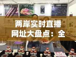 两岸实时直播网址大盘点：全方位了解两岸动态