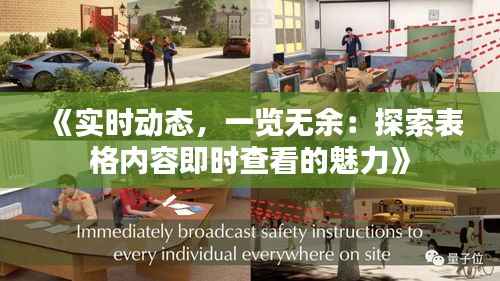 《实时动态,一览无余:探索表格内容即时查看的魅力》
