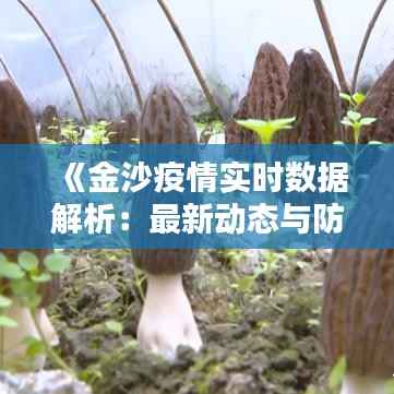 《金沙疫情实时数据解析:最新动态与防控措施一览》