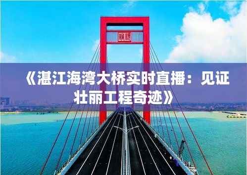 《湛江海湾大桥实时直播：见证壮丽工程奇迹》
