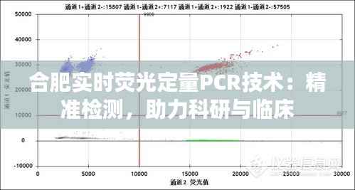 合肥实时荧光定量PCR技术：精准检测，助力科研与临床
