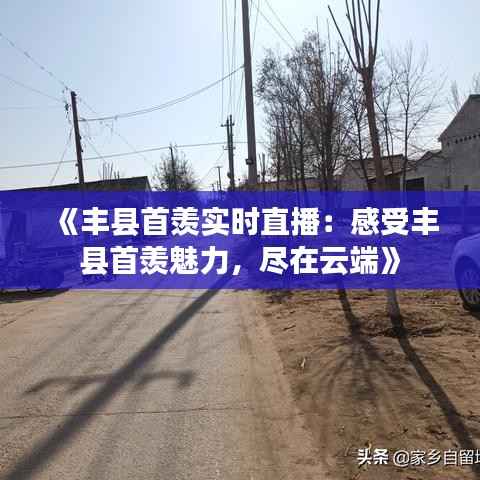 《丰县首羡实时直播：感受丰县首羡魅力，尽在云端》