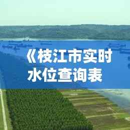 《枝江市实时水位查询表：便捷了解水域动态，守护安全出行》