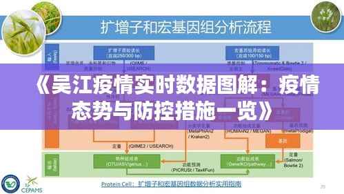 《吴江疫情实时数据图解：疫情态势与防控措施一览》