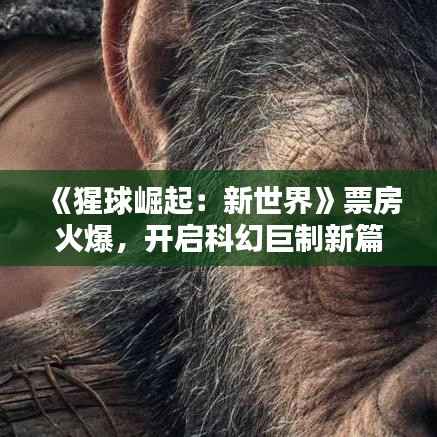 指李推张 第6页