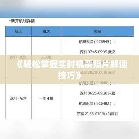 《轻松掌握实时机票照片解读技巧》