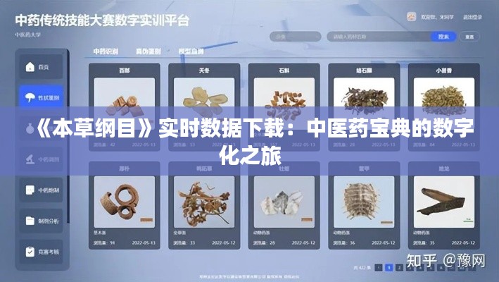 《本草纲目》实时数据下载：中医药宝典的数字化之旅
