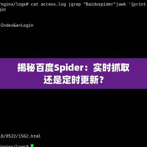 揭秘百度Spider：实时抓取还是定时更新？