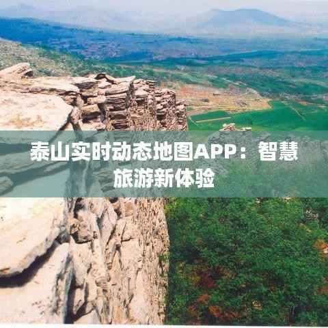 泰山实时动态地图APP：智慧旅游新体验