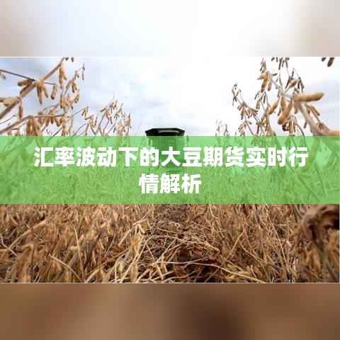 汇率波动下的大豆期货实时行情解析