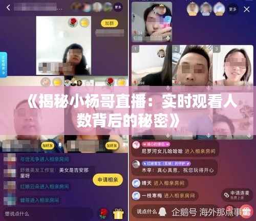 《揭秘小杨哥直播:实时观看人数背后的秘密》