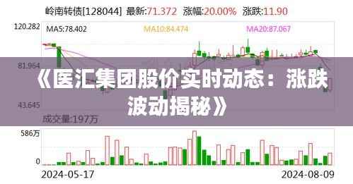 《医汇集团股价实时动态：涨跌波动揭秘》