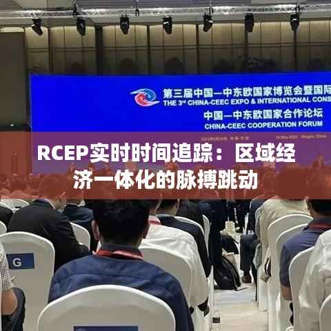 RCEP实时时间追踪：区域经济一体化的脉搏跳动