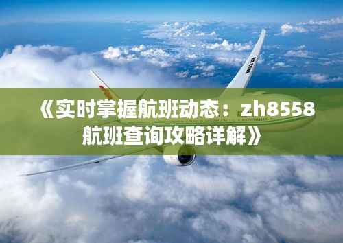 《实时掌握航班动态：zh8558航班查询攻略详解》