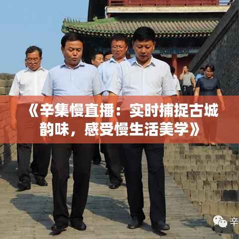 《辛集慢直播：实时捕捉古城韵味，感受慢生活美学》