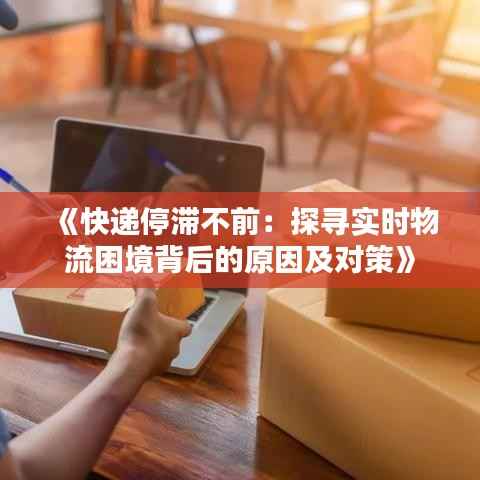 《快递停滞不前：探寻实时物流困境背后的原因及对策》