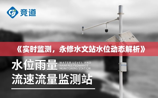 《实时监测，永修水文站水位动态解析》