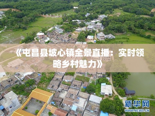 《屯昌县坡心镇全景直播：实时领略乡村魅力》
