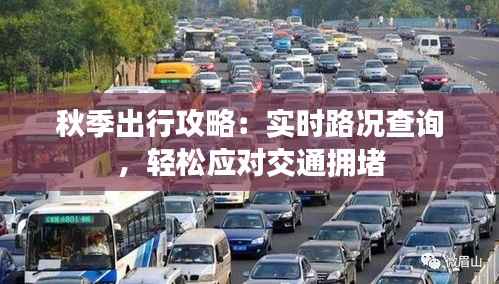 秋季出行攻略：实时路况查询，轻松应对交通拥堵