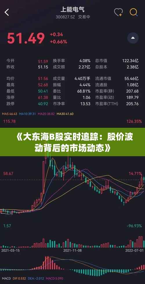 《大东海B股实时追踪：股价波动背后的市场动态》