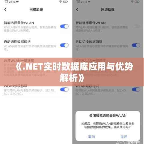 《.NET实时数据库应用与优势解析》