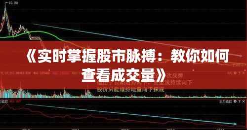 《实时掌握股市脉搏：教你如何查看成交量》