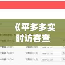 《平多多实时访客查看攻略:轻松掌握店铺流量动态》