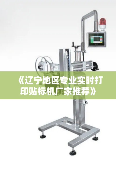 《辽宁地区专业实时打印贴标机厂家推荐》