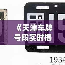 《天津车牌号段实时揭晓：最新号段一览无遗！》