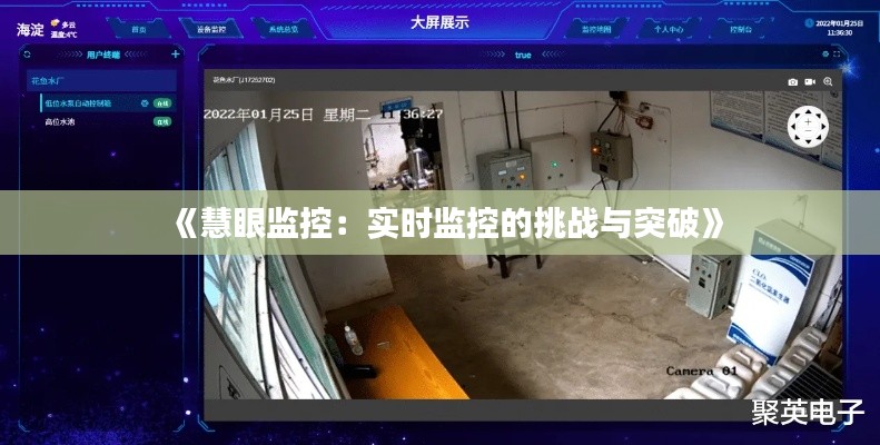 《慧眼监控：实时监控的挑战与突破》