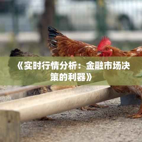 《实时行情分析：金融市场决策的利器》