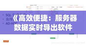 《高效便捷：服务器数据实时导出软件助力企业信息化管理》
