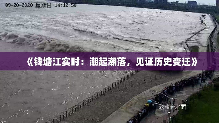 《钱塘江实时：潮起潮落，见证历史变迁》