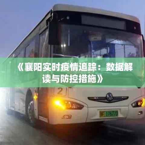 《襄阳实时疫情追踪：数据解读与防控措施》